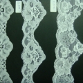 CLN0876-0878