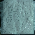 CLN0927