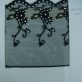 CLN1048col.1