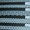 CLN1067-1072