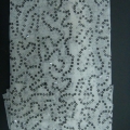 CLN1100