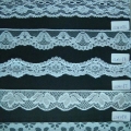 CLN1194-1198