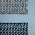 CLN1210col.1-2