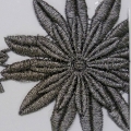 CLN1255