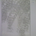 CLN1267col.4