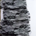 CLN1301