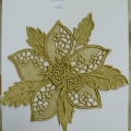 CLN1339.D