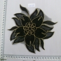 CLN1379
