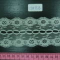 CLN1513