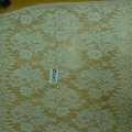 CLN1524