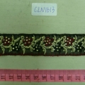 CLN1613