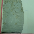 CLN1659