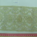 CLN1667