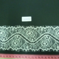 CLN1731