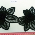 CLN1797