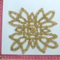CLN1895