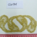 CLN1905