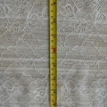 CLN2035
