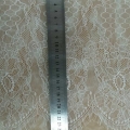 CLN2036