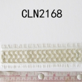 CLN2168