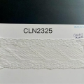 CLN2325