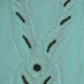 CCA0058