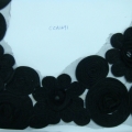 CCA1491
