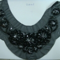 CCA1519