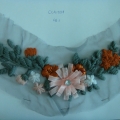 CCA1558-COL.1
