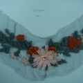 CCA1558 COL.1