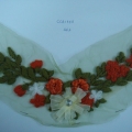 CCA1558 COL.2