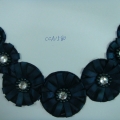 CCA1580