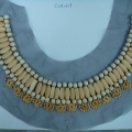 CCA1609