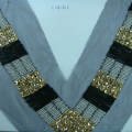 CCA1613