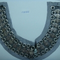CCA1666