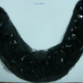 CCA1684