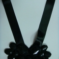 CCA1687