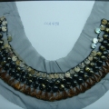 CCA1698