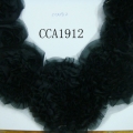 CCA1912