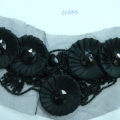 CCA1923