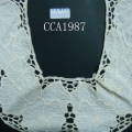 CCA1987