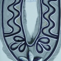 CCA2012