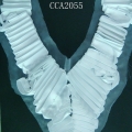 CCA2055