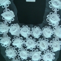 CCA2057-COL.1