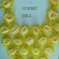 CCA2057-COL