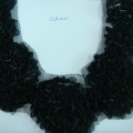 CCA2101