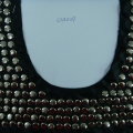 CCA2109
