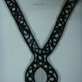 CCA2152