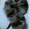 CCA2206-COL.1