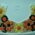 CCA2256-COL.1
